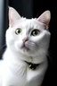 Placeholder: Portrait d'un cat white cute in planete