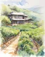 Placeholder: in a tea plantation , a modern cottage in the tea plantation hill side, pen line sketch and watercolor painting ,Inspired by the works of Daniel F. Gerhartz, with a fine art aesthetic and a highly detailed, realistic style
