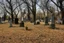 Placeholder: Creepy trees, sunny day, abandoned cemetery