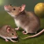 Placeholder:  Field mouse, cartoon, dark, high definition, ultra 8 k,