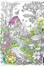 Placeholder: foMagical Fairytale Gardenr colouring book