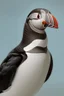 Placeholder: realistic detailed painting of a puffin bird on a white background.