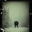 Placeholder: unusual multilegged and multiple eyed animal cryptid in the snow polaroid vintage style realistic