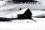 Placeholder: snowy land with a lone pale weather-beaten cottage, (heavy snowing:2), acrylic paint, minimal art, low colors of steel gray, snow white and black, sparse pale cobalt tint leak, wild brush strokes, hard winter, storm dynamics, great wind diagonals, gloomy mountain skyline