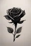 Placeholder: Minimalist ink color pencil and charcoal drawing of a dark rose