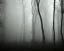 Placeholder: INT. DARK FOREST - NIGHT The camera pans through the dense, misty forest, the sound of twigs snapping and leaves rustling filling the air. A figure emerges from the shadows, hooded and cloaked, their face obscured by the darkness. FIGURE: (voiceover) The prophecy has been fulfilled. The chosen one has come. Cut to: INT. KING'S THRONE ROOM - DAY The figure enters the throne room, approaching the throne where the KING sits, his face obscured by shadows.