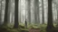 Placeholder: Houx in the Forest