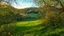 Placeholder: Hollow with shaded glen, spring, dusk
