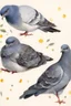 Placeholder: Pigeon. 19th painting