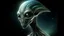 Placeholder: Portrait of a beautiful intelligent alien,