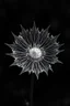 Placeholder: Realistic x-ray weed flower, tilt art bokeh, dark shadowy scene. flower of fun , sharp jagged petals surround the center. metaphorical, fantasy artwith intricate details, texturized effect, black and white, inspired by Hugh Turvey, Bert Myers and flower photography, enhanced with dramatic lighting