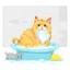 Placeholder: A red fluffy cat sitting in a bathtub filled with water with lots of bath foam and a small grey mouse in its hand. On the floor lies a yellow bath sponge in a small puddle of water. Everything on a white background to be removed.