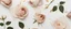 Placeholder: photo of five white postcards on a white background image with rose and gold petals