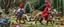 Placeholder: blue and red clothed gnomes riding furred lynx cats with lances in garden of eden in the style of Escher and Giger