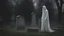 Placeholder: misty ghost in the graveyard