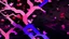 Placeholder: sakura theme