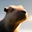 Placeholder: capybara