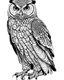 Placeholder: real massive Owl, coloring page, full body (((((white background))))), only use an outline., real style, line art, white color, clean line art, white background, Sketch style