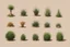 Placeholder: Isolated concept art of multiple types of alien plant on a plain neutral background. Designed for Desert biome – dry, spiky, brittle grass with sharp edges, and pale dusty colors