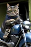 Placeholder: cat drivinga motorbike