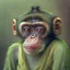 Placeholder: Pepe monkey