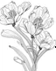 Placeholder: real massive Freesia flower coloring page