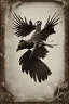 Placeholder: nature morte. crow . surrealism