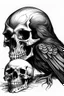 Placeholder: raven and skull sketch artistic