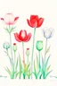 Placeholder: A minimalist watercolor painting of a group of poppies and tulips with a white background, inspired by the work of Luke Chueh. The flowers are losing their petals, but remain beautiful in their imperfection. The muted colors evoke a sense of poetry and spiritual evolution, while the connectedness of the flowers is emphasized by their placement on a postage stamp. This painting would make a great addition to any Pinterest board.