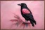 Placeholder: Pink Crow with scarf .19th painting