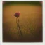 Placeholder: single long stem wildflower in a field, polaroid, symmetry, luminescent glow, moody, tender