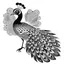 Placeholder: white, A peacock in flight, vector, white background, outline, with images neatly contained within the background, just black and white color, full body, no color. Front view.