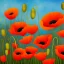 Placeholder: poppies