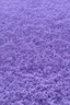 Placeholder: Purpke snow