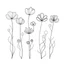 Placeholder: set of grow wind flower on the grace, SIMPLE ONE lineS art, white background, minimalis, different view, only white bakcground solid.