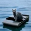 Placeholder: A grey cat on a raft, in the middle of an ocean