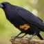 Placeholder: Crow, highly detailed, hyper-detailed, beautifully color-coded, insane details, intricate details, beautifully color graded, Cinematic, Color Grading, Editorial Photography, Depth of Field, DOF, Tilt Blur, White Balance, 32k, Super-Resolution, Megapixel, ProPhoto RGB, VR, Half rear Lighting, Backlight, non photorealistic rendering