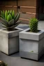 Placeholder: Create a realistic mini cubic concrete pot in unique shapes for succulent planter