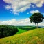 Placeholder: Green land , blue sky , cloud , sunshine , sun , far view