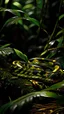 Placeholder: Snake Anakonda in Dark Rainforest,