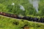 Placeholder: STEAM TRAIN WESTERNFOREST