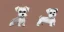 Placeholder: Cute salt and pepper miniature schnauzer Digital Art