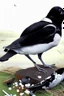 Placeholder: Magpie murders