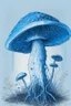 Placeholder: Mushroom Blue colored sketch