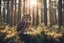 Placeholder: antropomorph cat owl in a pine forest in sunshine, ethereal, cinematic postprocessing