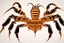 Placeholder: Detailed, illustration, realistic, symmetrical, poisonous scorpion, realistic.