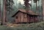 Placeholder: cinematic, cabin, forest, camping ground, comic book,,, cinematic
