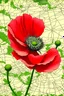 Placeholder: Palestine map hibrid poppy flower portrait