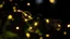 Placeholder: Two fireflies are flying together, their lights shining. Their lights are merging as they come close.