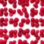 Placeholder: raspberry, plain background